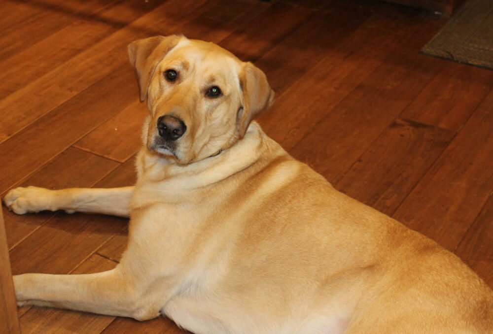 Fried Cabbage with Bacon Keto3