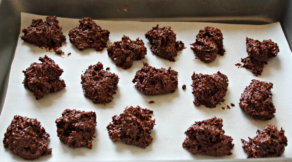 Keto No-Bake Chocolate Coconut Bites4