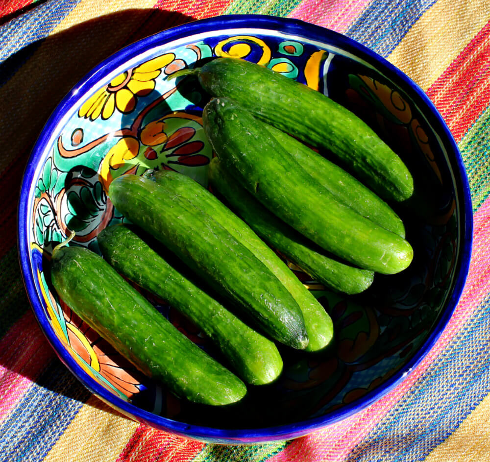 Keto Easy Refrigerator Dill Pickles2