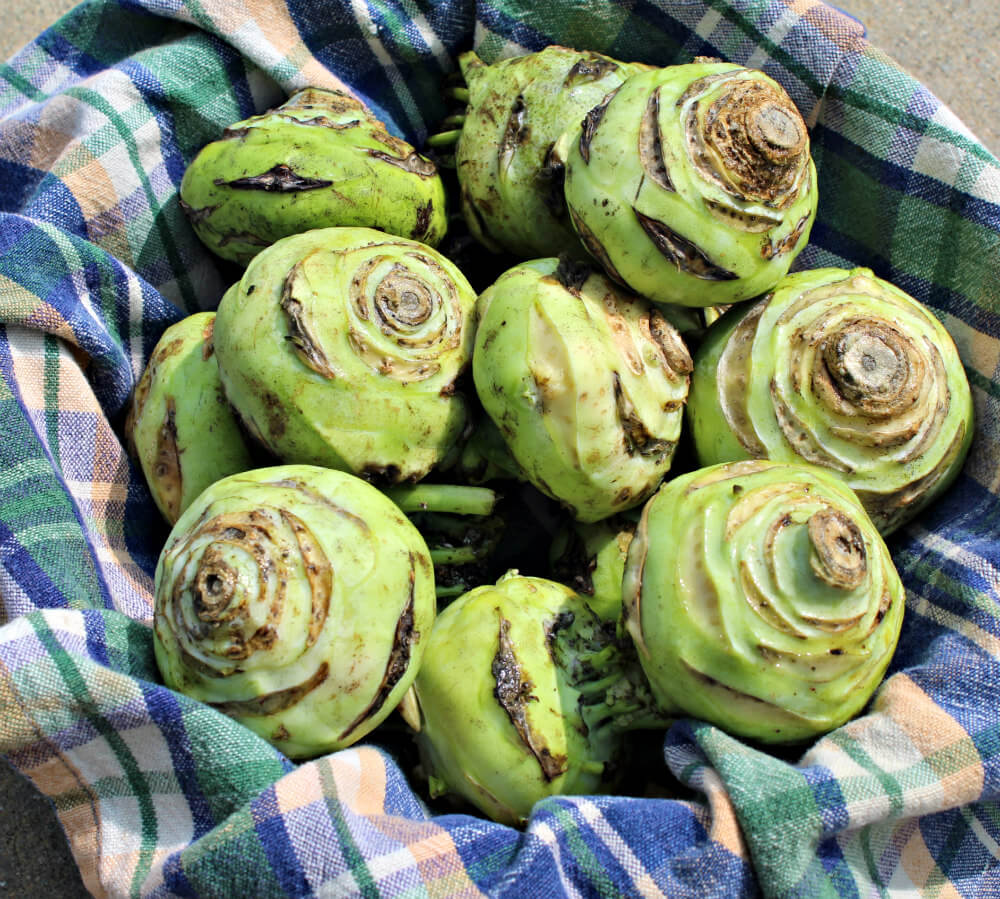 Roasted Keto Kohlrabi with Patty Pan Squash2