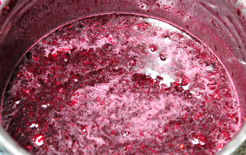 Blueberry Keto Mousse Delight3