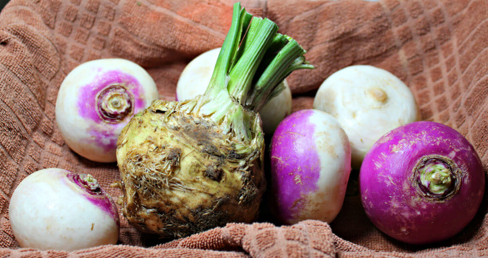 Keto Mashed Turnips and Celery Root2