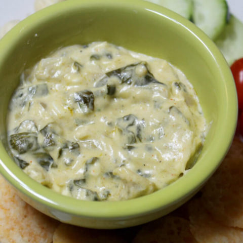 https://splashofketo.com/wp-content/uploads/2021/01/crockpot-keto-spinach-artichoke-dip1-480x480.jpg