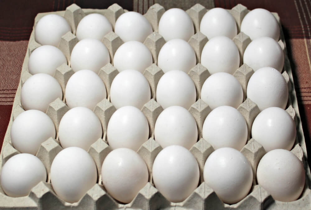 Classic Keto Egg Salad2