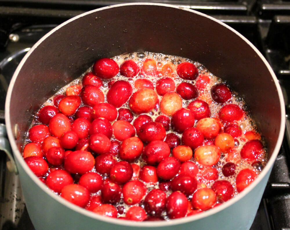 Cranberry Keto Pork Roast4