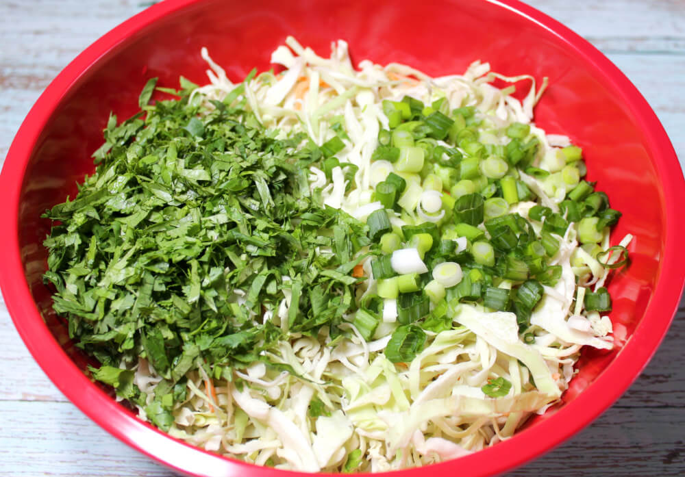 Keto Creamy Asian Coleslaw2