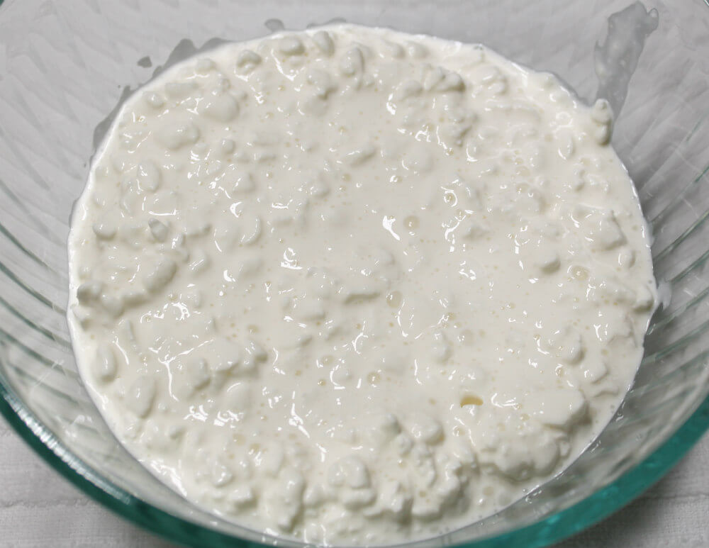 Cottage Cheese Low Carb Salad2