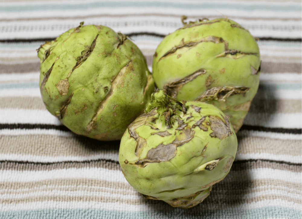 Mom's Pan Sauteed Kohlrabi2