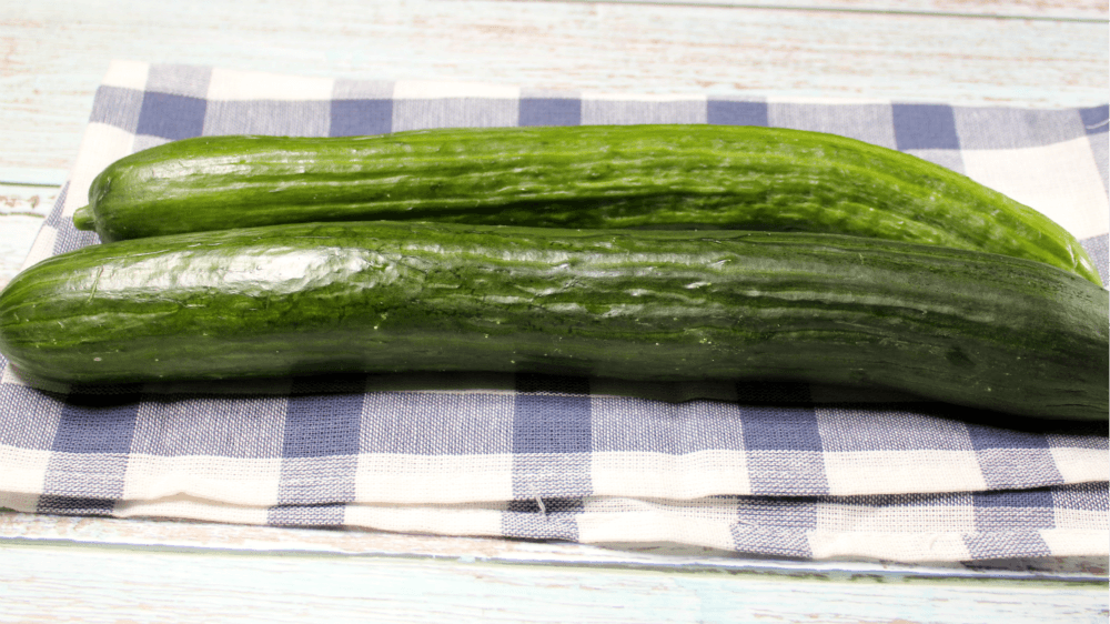 Low-Carb Dilly Cucumber Rounds2