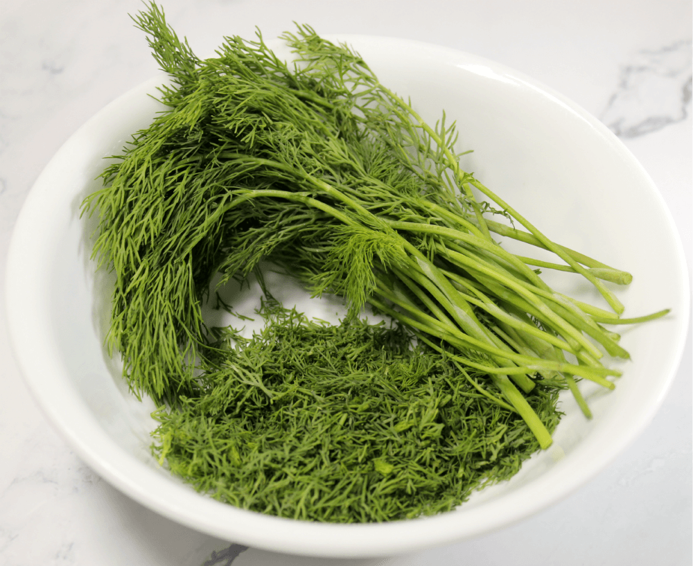 Low-Carb Dilly Cucumber Rounds3