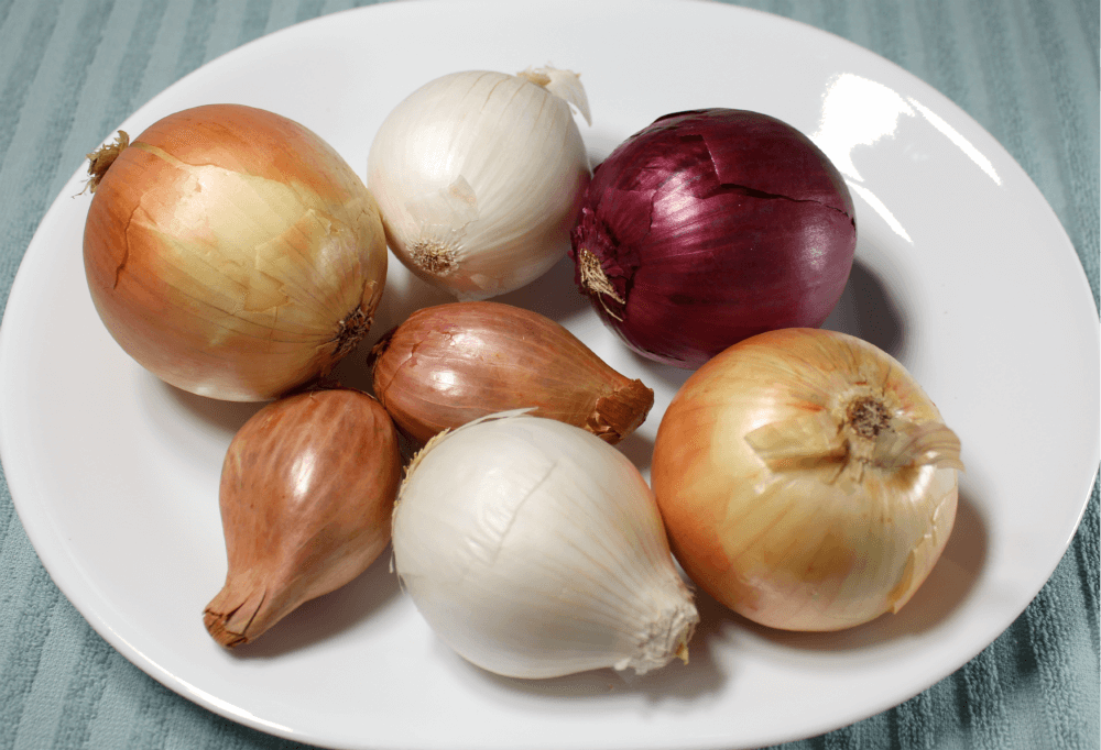 French Onion Keto Soup2