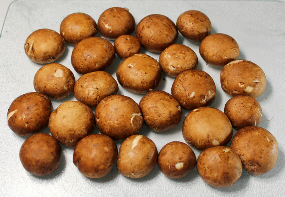 Low-Carb Mushroom Mozzarella Tomato Salad2