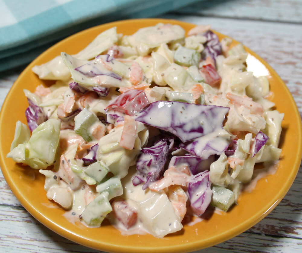 Keto Colorful Coleslaw7