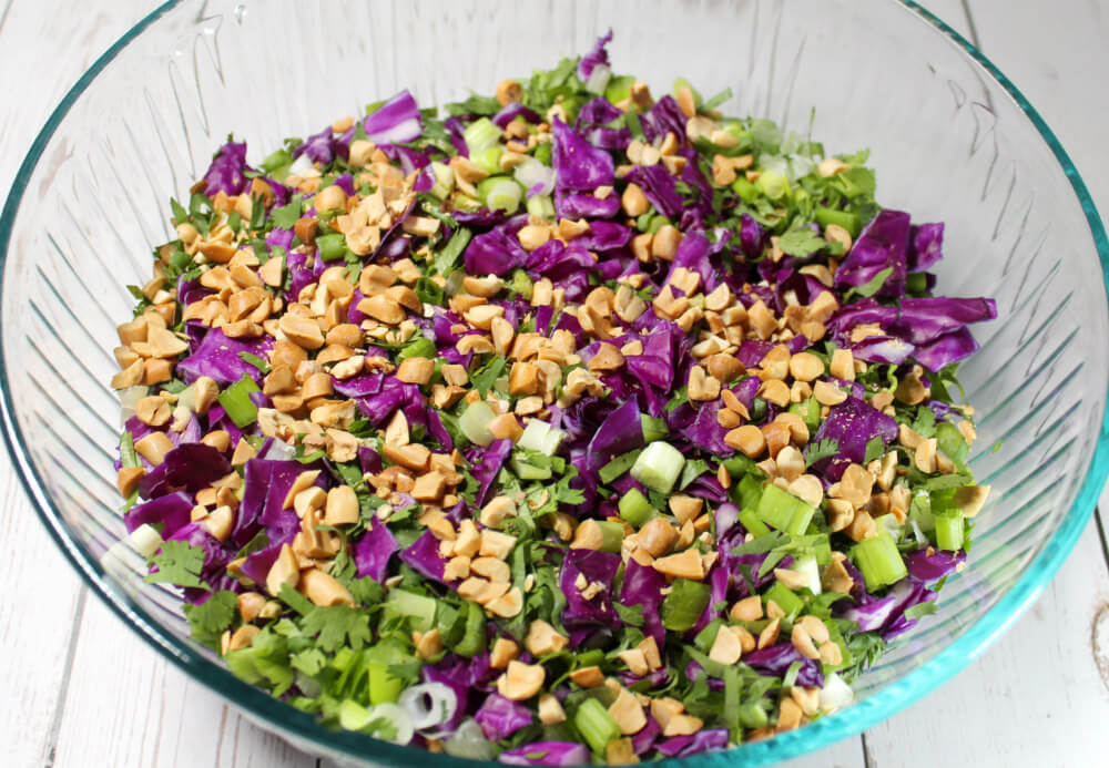 Red Cabbage Coleslaw with Keto Ginger Dressing6