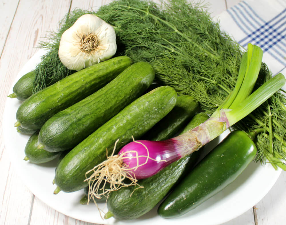 Keto Refrigerator Jalapeno Dill Pickles2