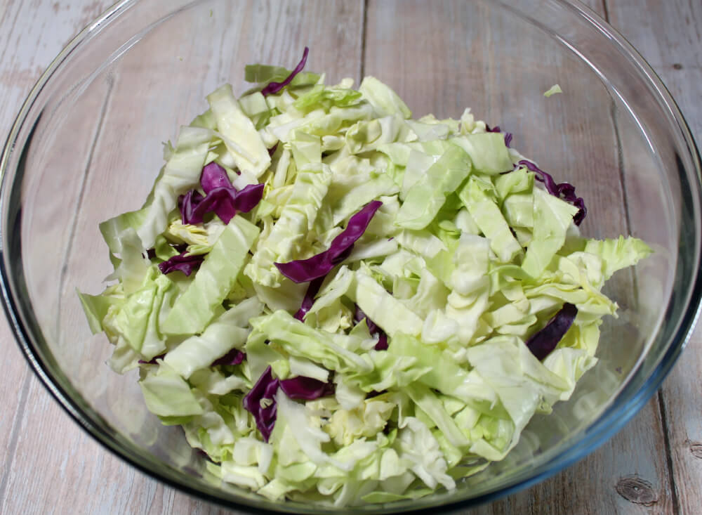 Chicken Fajita Keto Coleslaw2