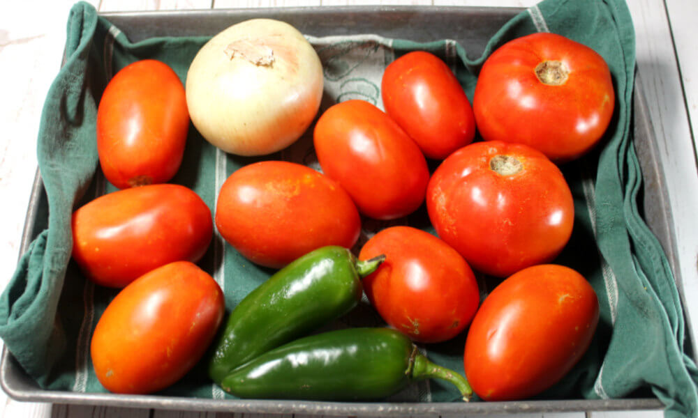 Spicy Keto Homemade Ketchup2