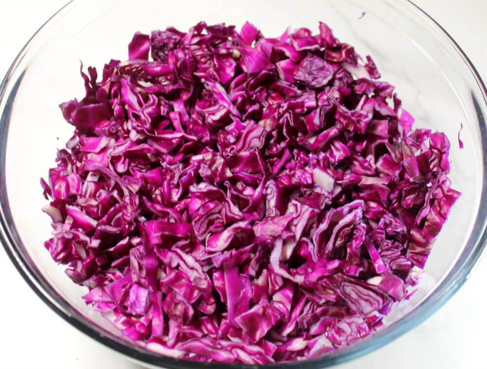 Red Cabbage Dill Pickle Keto Slaw2