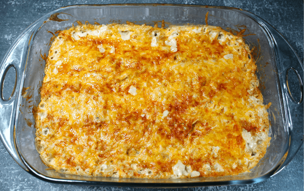Cheesy Palmini Noodle Ground Chicken Bake5