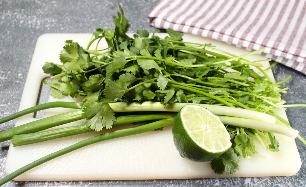 Keto Green Onion Vegetable Dip2