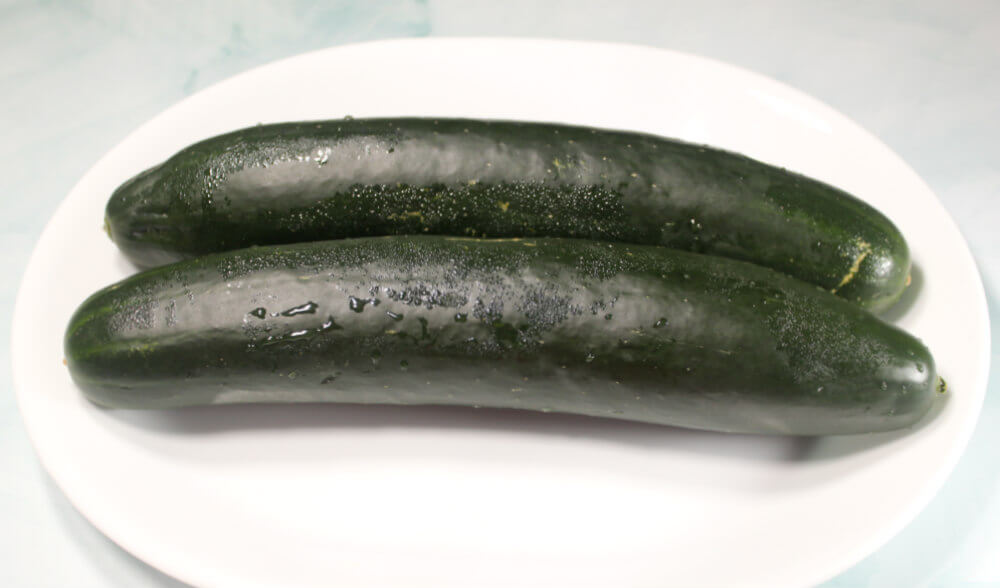 Cucumber Bites Everything Bagel2