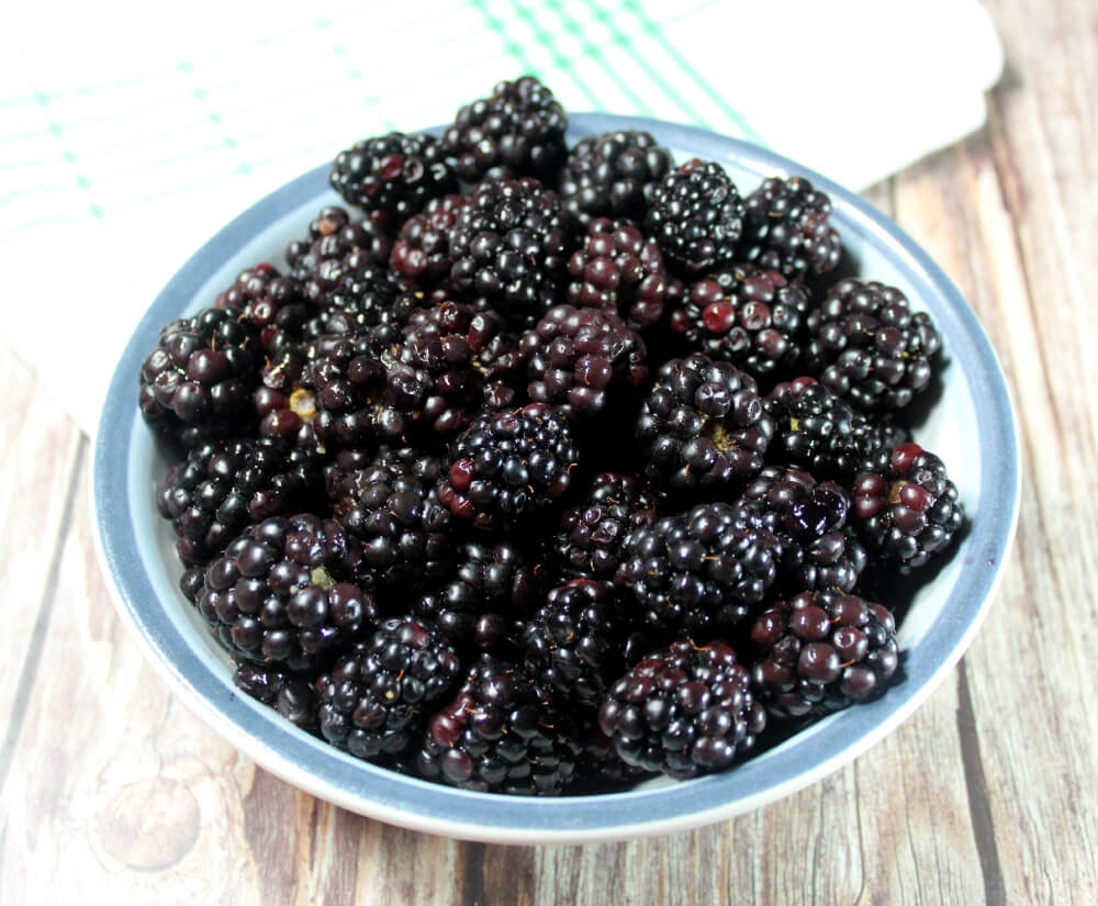 Keto Blackberry Mile High Dessert2