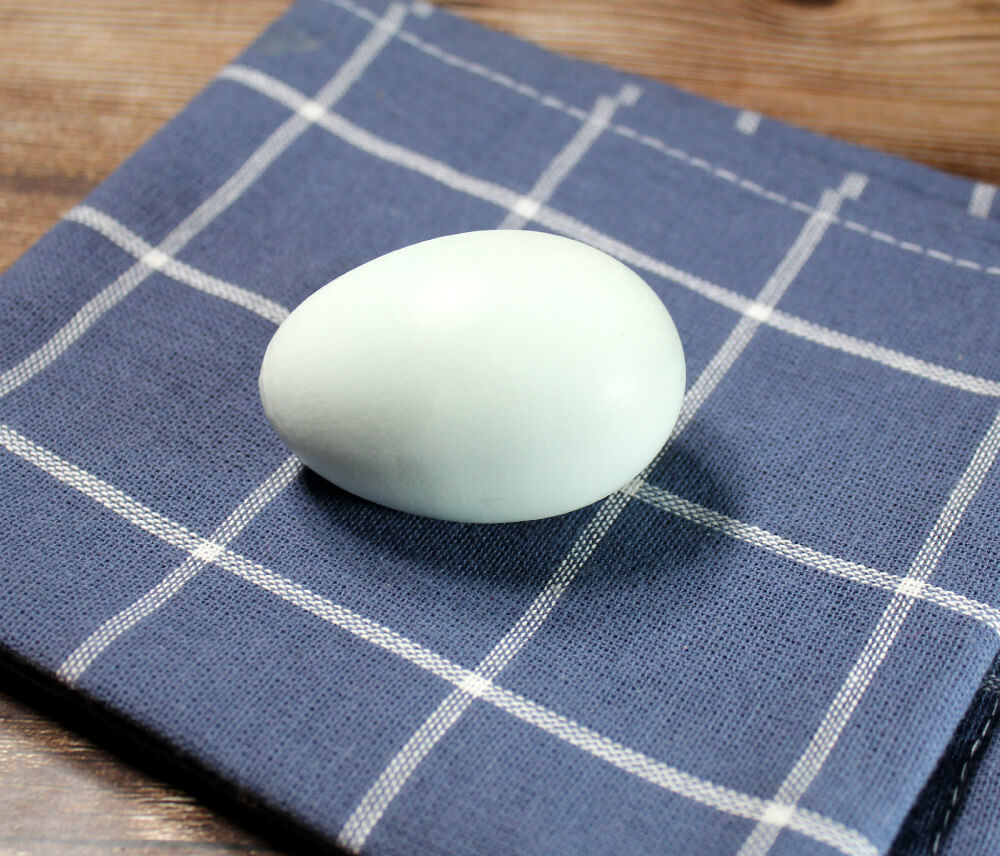 Easy Keto Blender Mayo2