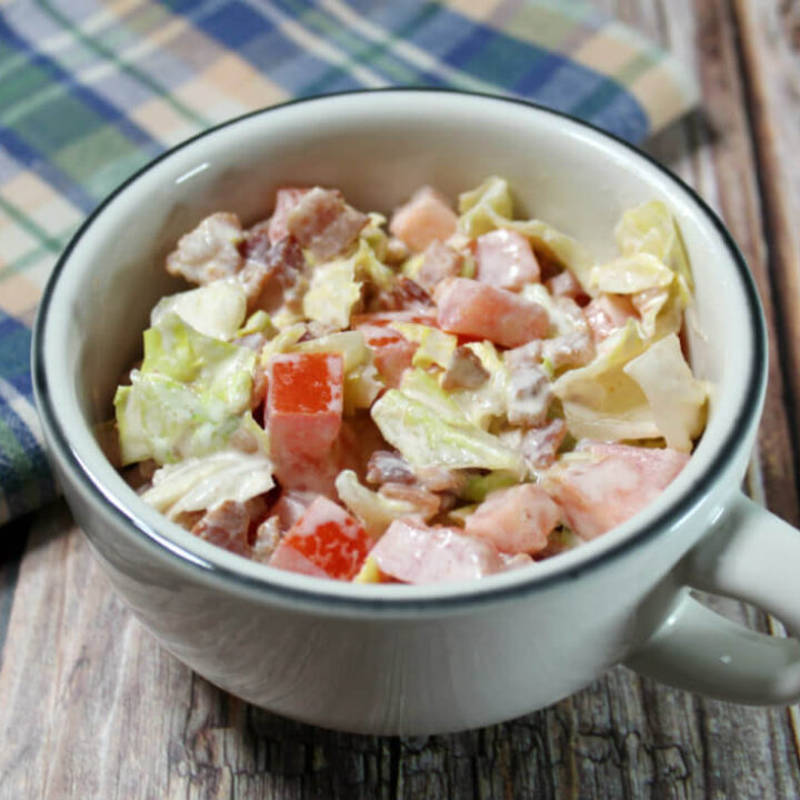 Creamy blt Salsa Dip1